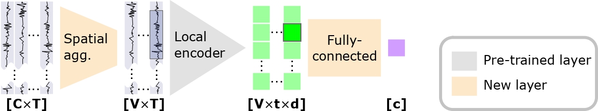 Signal-JEPA Pre-Local Downstream Architecture