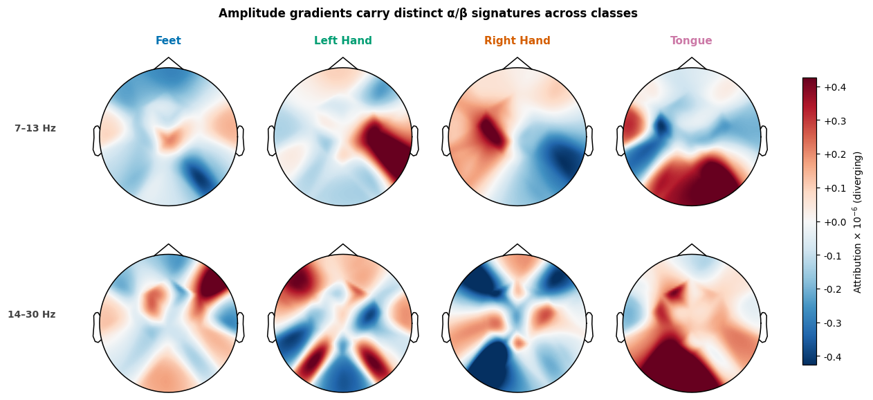 Amplitude gradients carry distinct α/β signatures across classes, Feet, Left Hand, Right Hand, Tongue