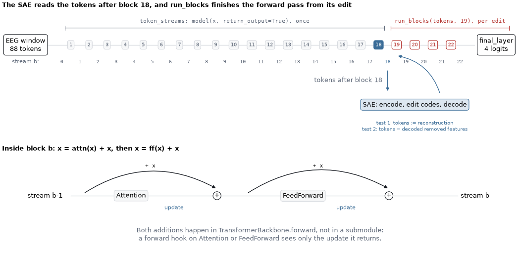 The SAE reads the tokens after block 18, and run_blocks finishes the forward pass from its edit, Inside block b: x = attn(x) + x, then x = ff(x) + x
