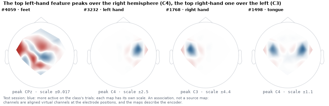 The top left-hand feature peaks over the right hemisphere (C4), the top right-hand one over the left (C3), #4059 · feet, #3232 · left hand, #1768 · right hand, #1498 · tongue