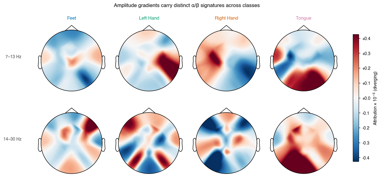 Amplitude gradients carry distinct α/β signatures across classes, Feet, Left Hand, Right Hand, Tongue